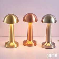 Panther Pt-700 Usb Şarjlı Masa Lambası